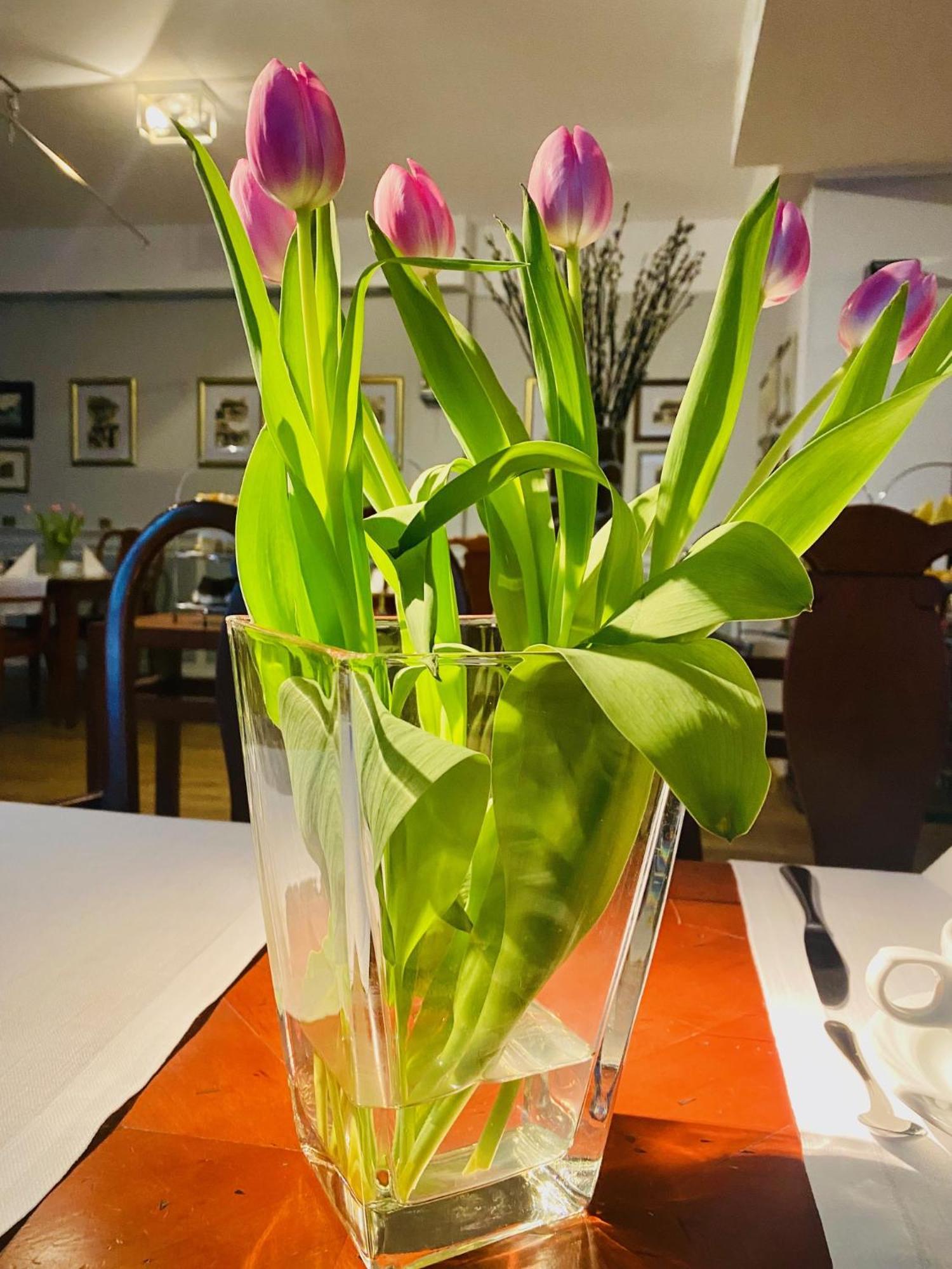 Hotel Rejs Ustka Luaran gambar
